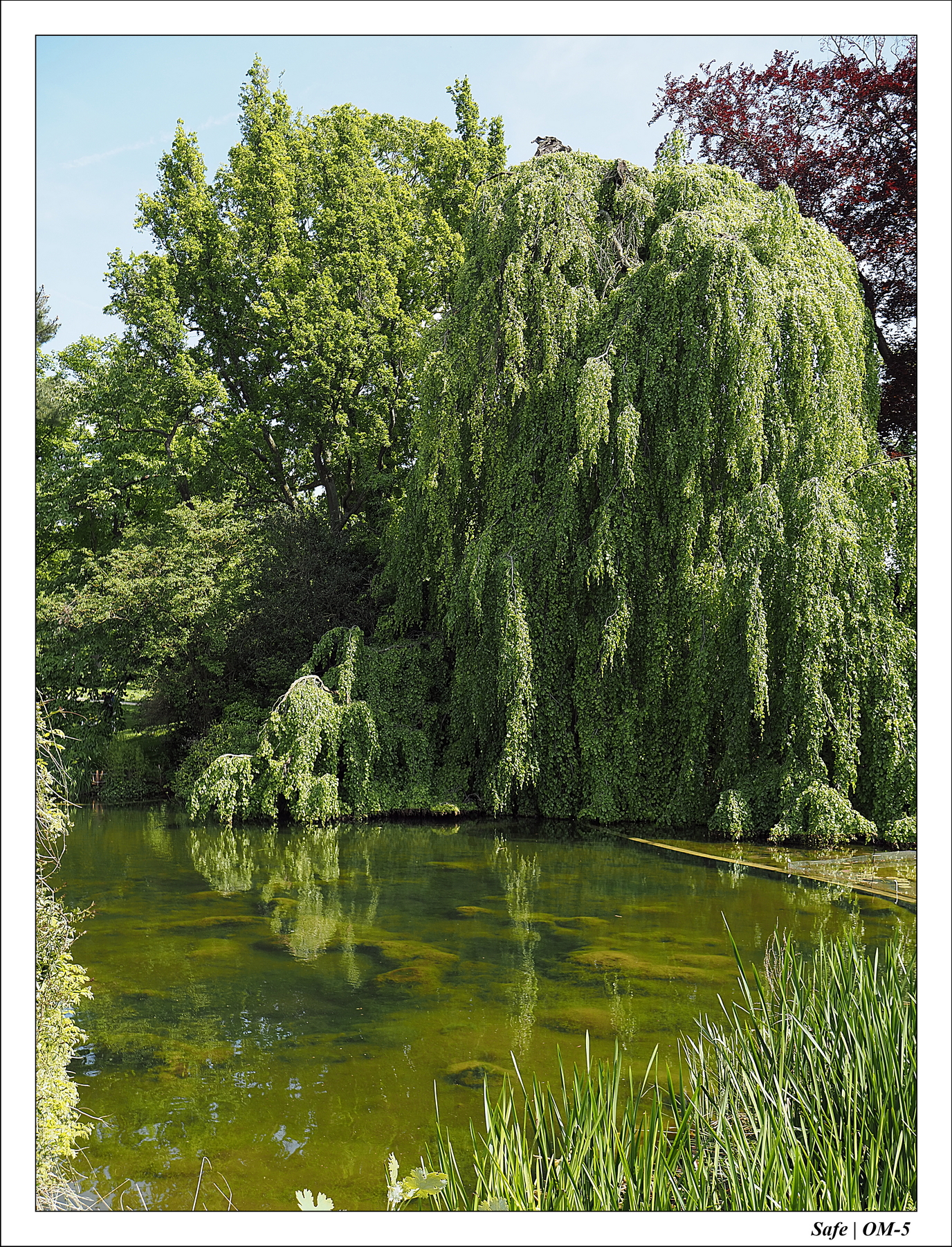 2024 - 05 - Bagatelle - 33